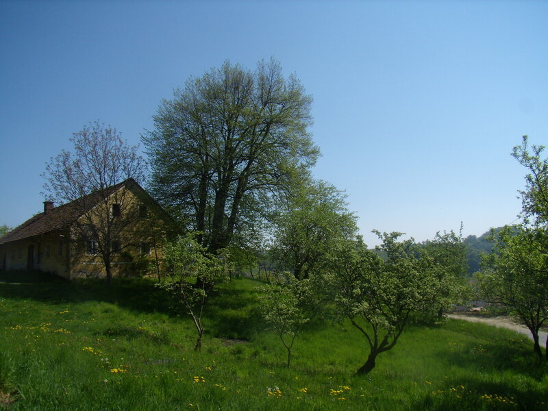 Yellow House on Hillside