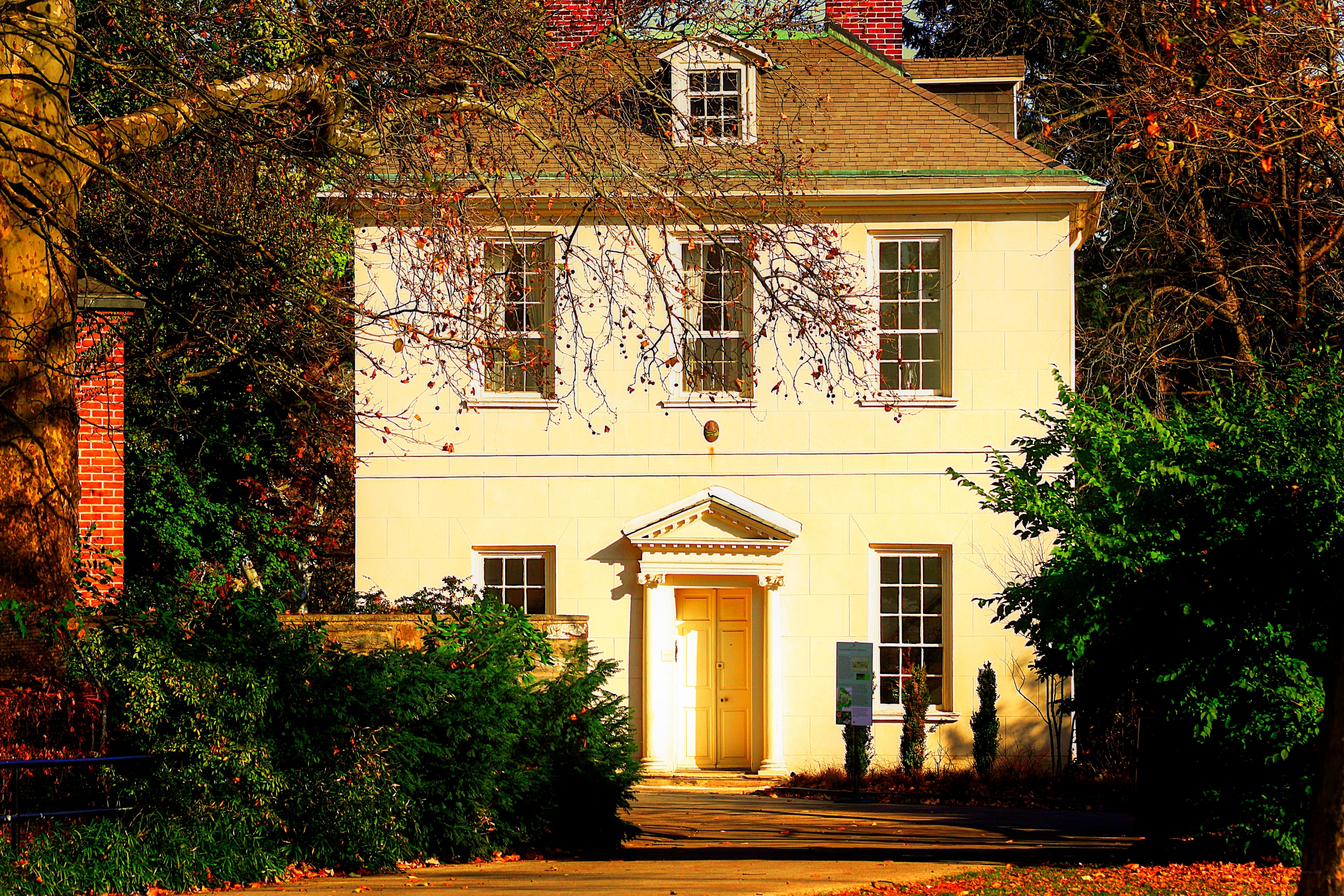 yellow house with autumn trees