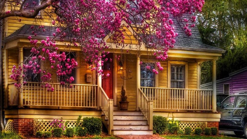 Yellow House with Blossoms — Serene, Spring
