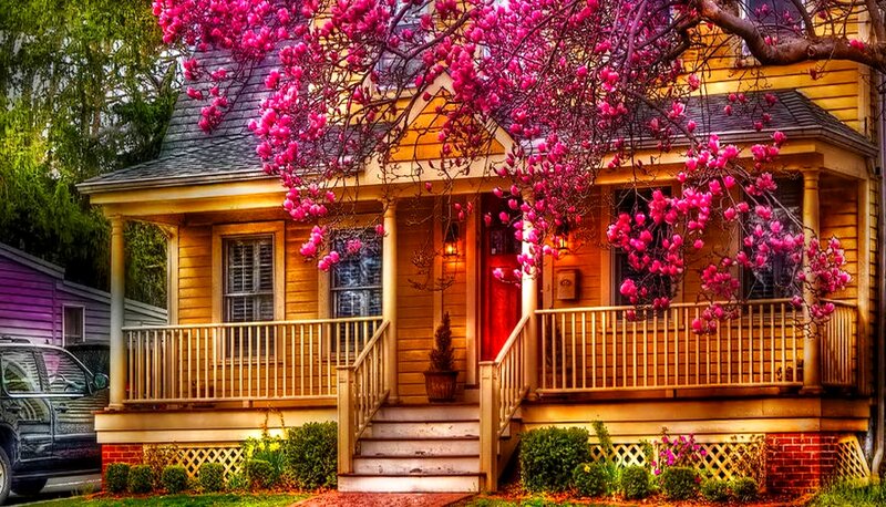 Yellow House with Blossoms — Serene