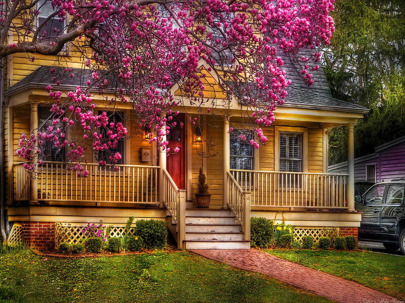 Yellow House with Blossoms