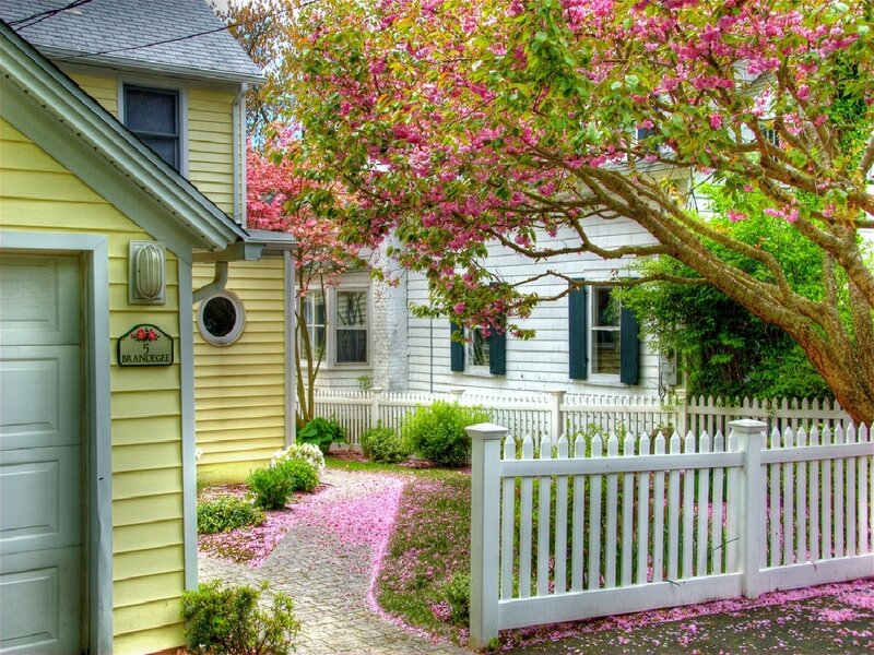 Yellow House with Cherry Blossoms — Pink