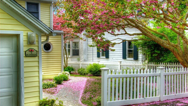 Yellow House with Cherry Blossoms — Serene, Spring