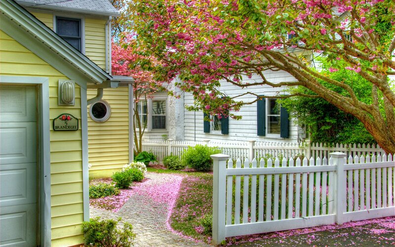 Yellow House with Cherry Blossoms
