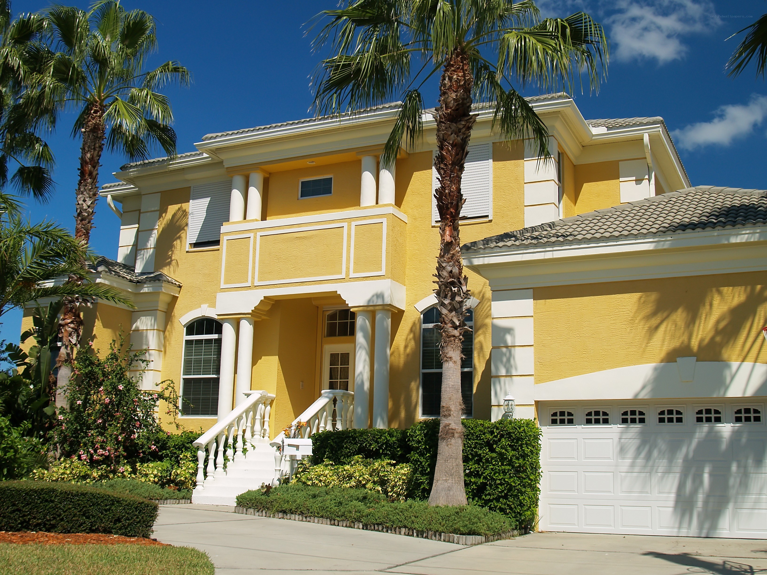 Yellow house with palm trees
