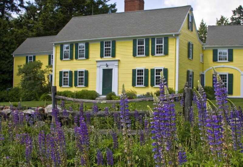 Yellow House with Purple Flowers
