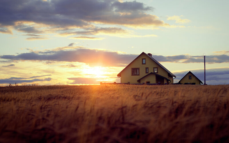Yellow Houses in Field