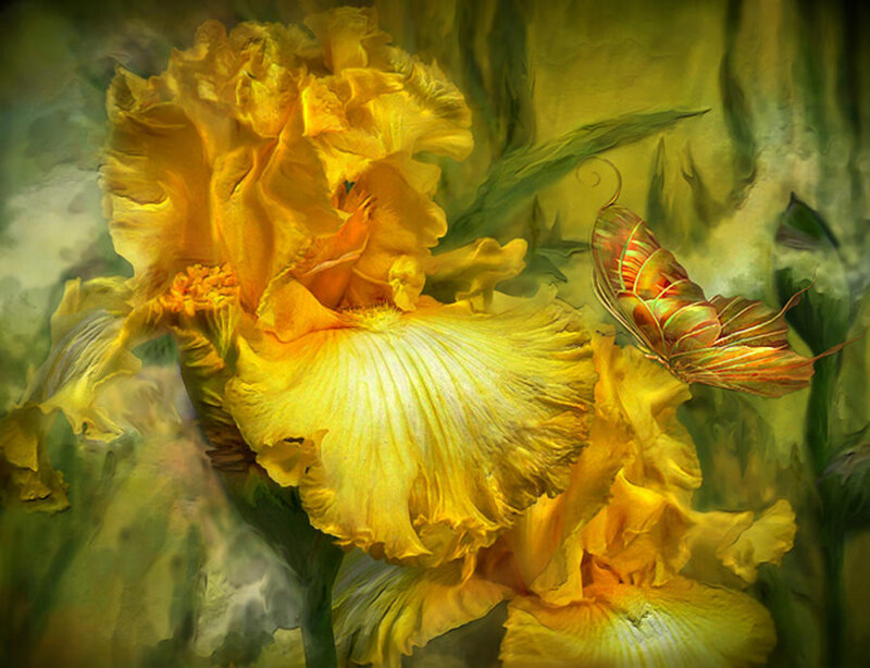 Yellow Iris Flower — Serene, Digital Art