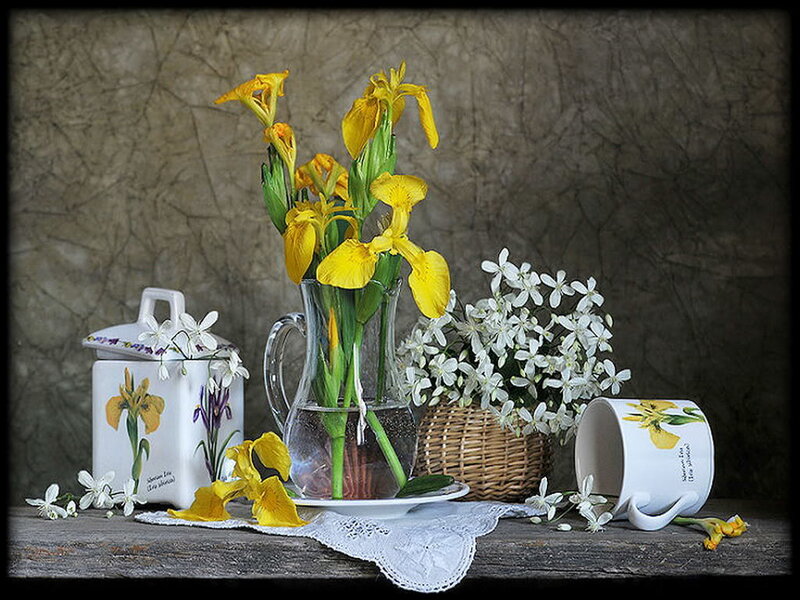 Yellow Iris Flowers