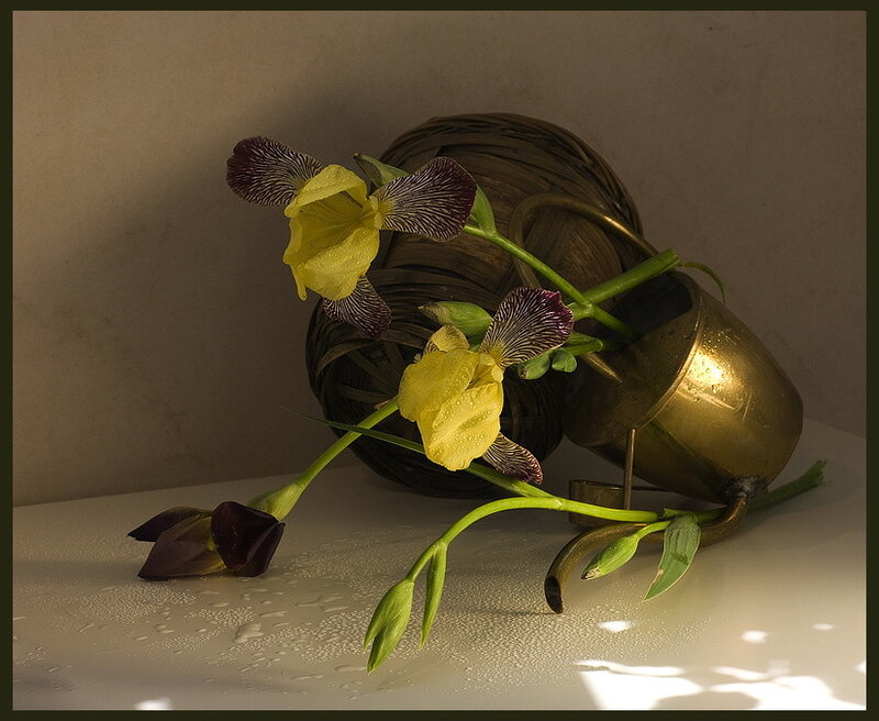 Yellow irises in a brass pitcher