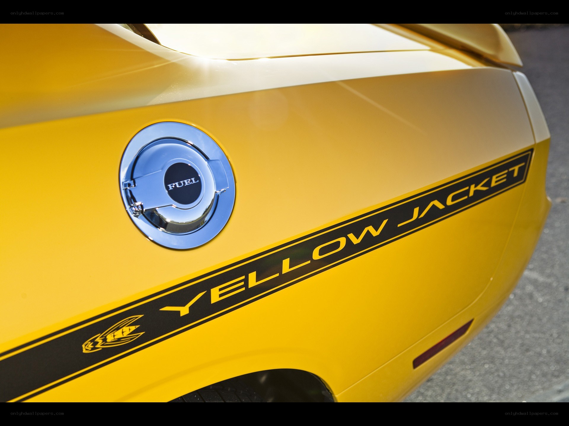 Yellow Jacket car decal