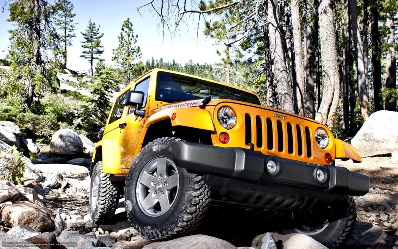 Yellow Jeep Wrangler in forest
