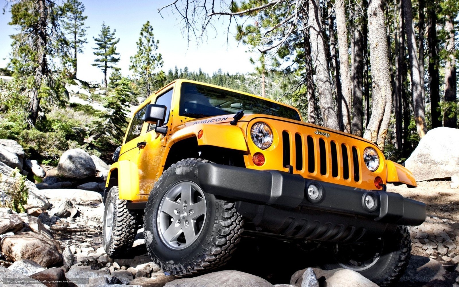 Yellow Jeep Wrangler in forest