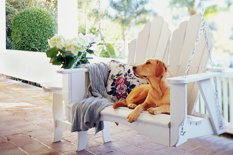 Yellow Lab on Porch Swing