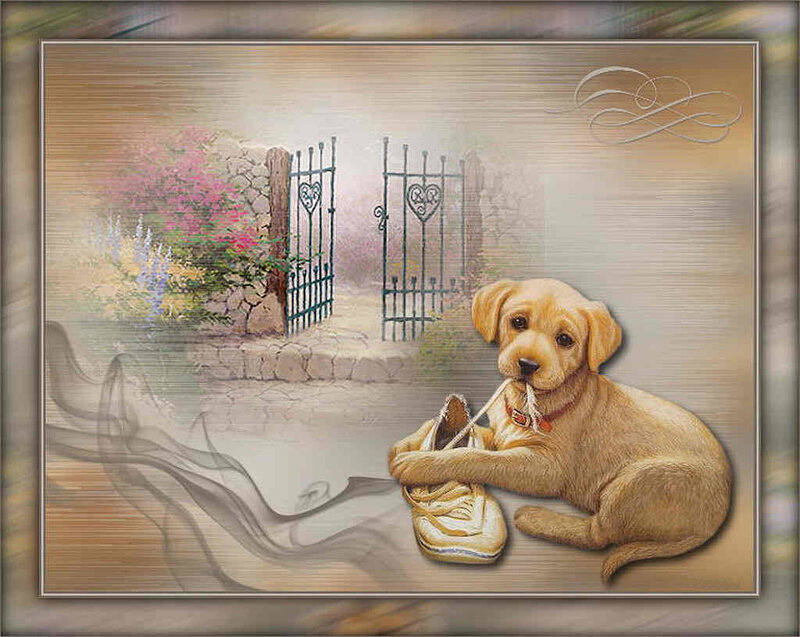 Yellow Lab Puppy — Brown, Peaceful