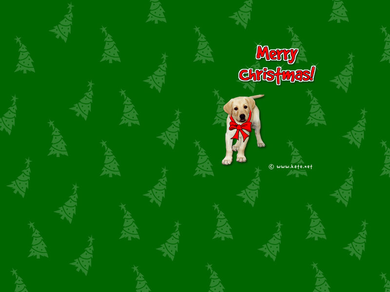 Yellow Lab Puppy — Green, Festive, Winter
