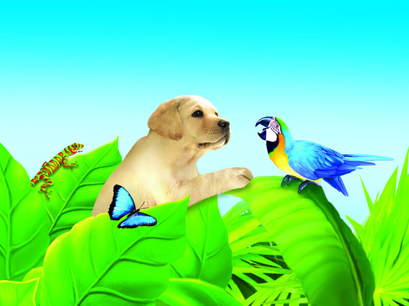 Yellow Lab Puppy — Green, Playful