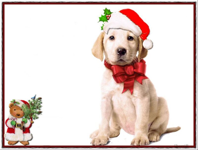 Yellow Lab Puppy — White, Festive