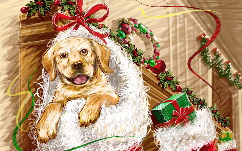 Yellow Lab Puppy — White, Festive, Winter, Digital Art
