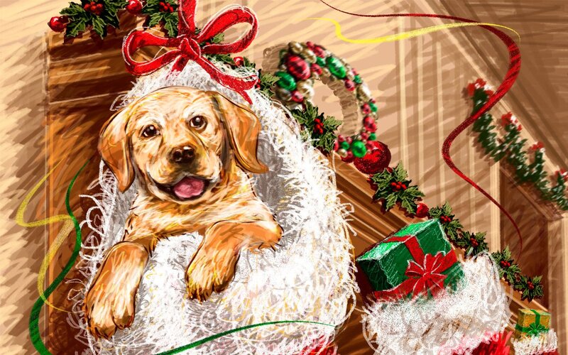 Yellow Lab Puppy — White, Festive, Winter