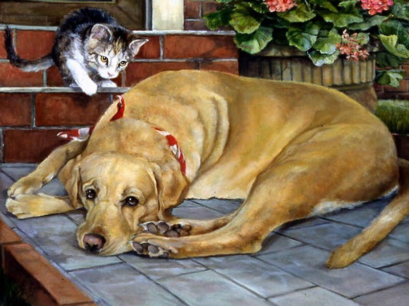 Yellow Labrador and Kitten