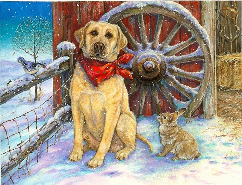 Yellow Labrador in Snow — White