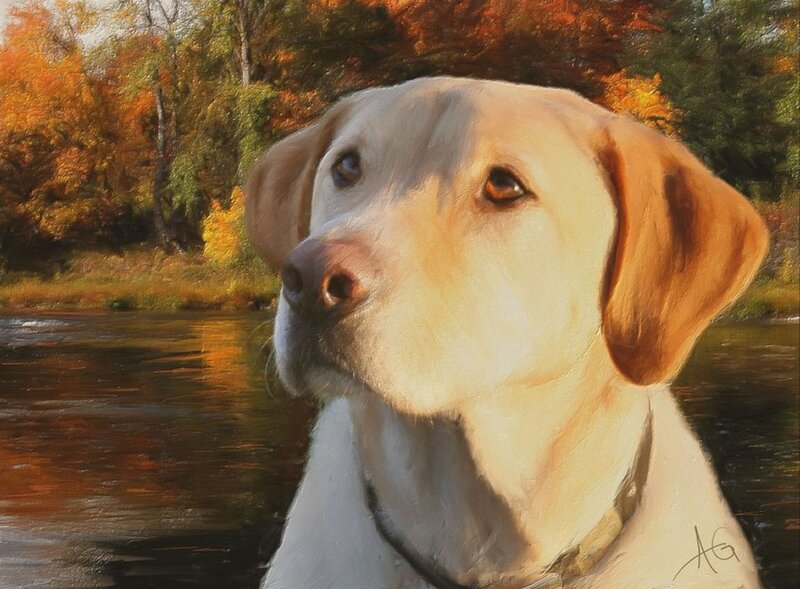 Yellow Labrador in Water — Serene