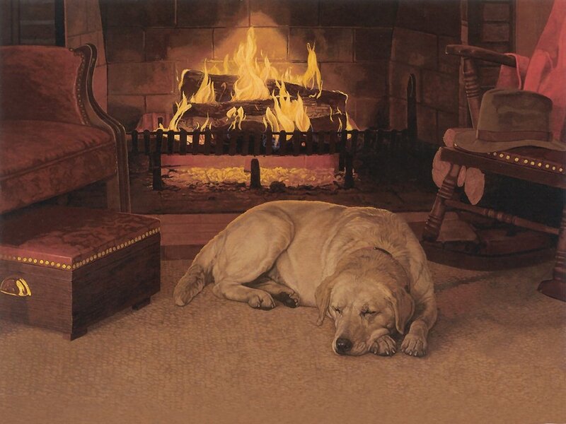 Yellow Labrador Sleeping — Brown