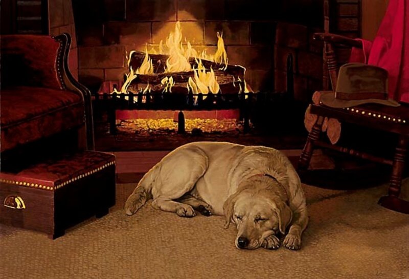 Yellow Labrador Sleeping