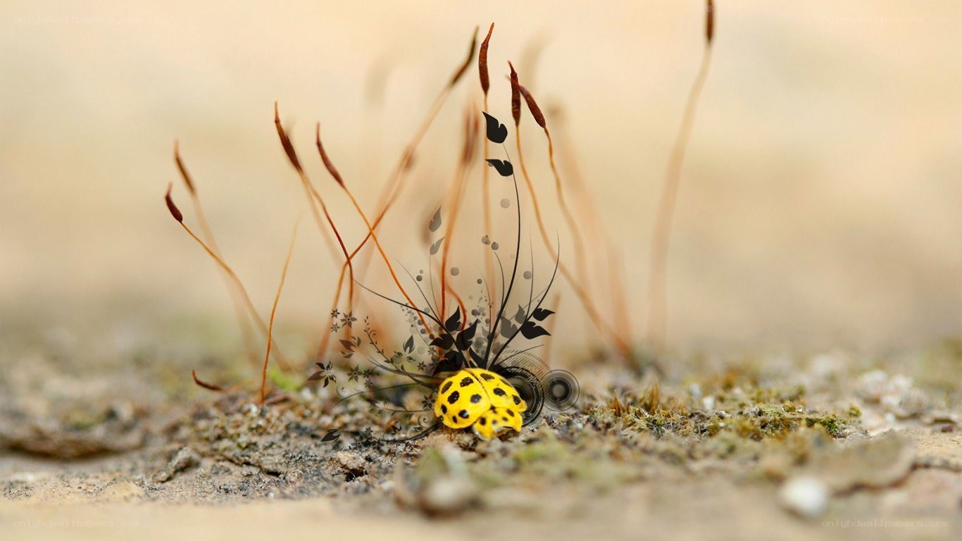 Yellow ladybug on mossy ground