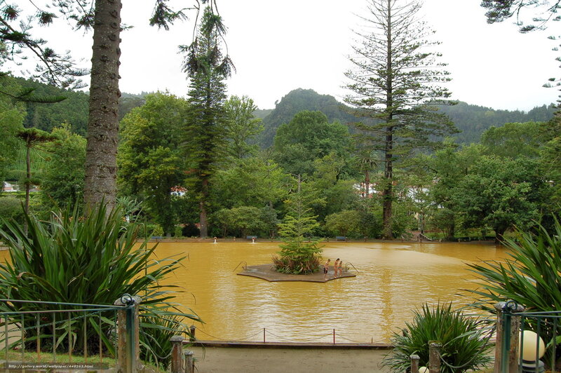 Yellow lake with island in park