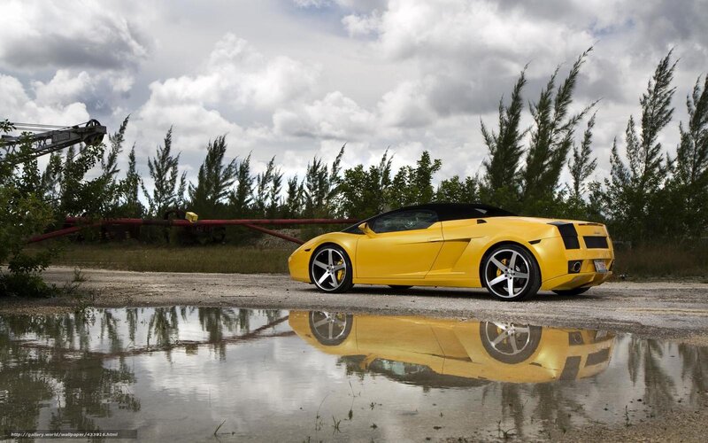 Yellow Lamborghini in puddle