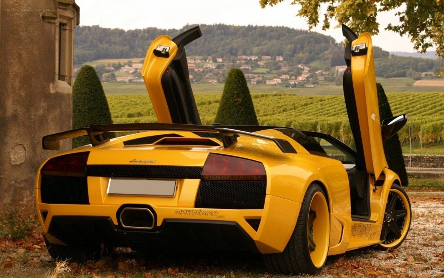 Yellow Lamborghini in vineyard