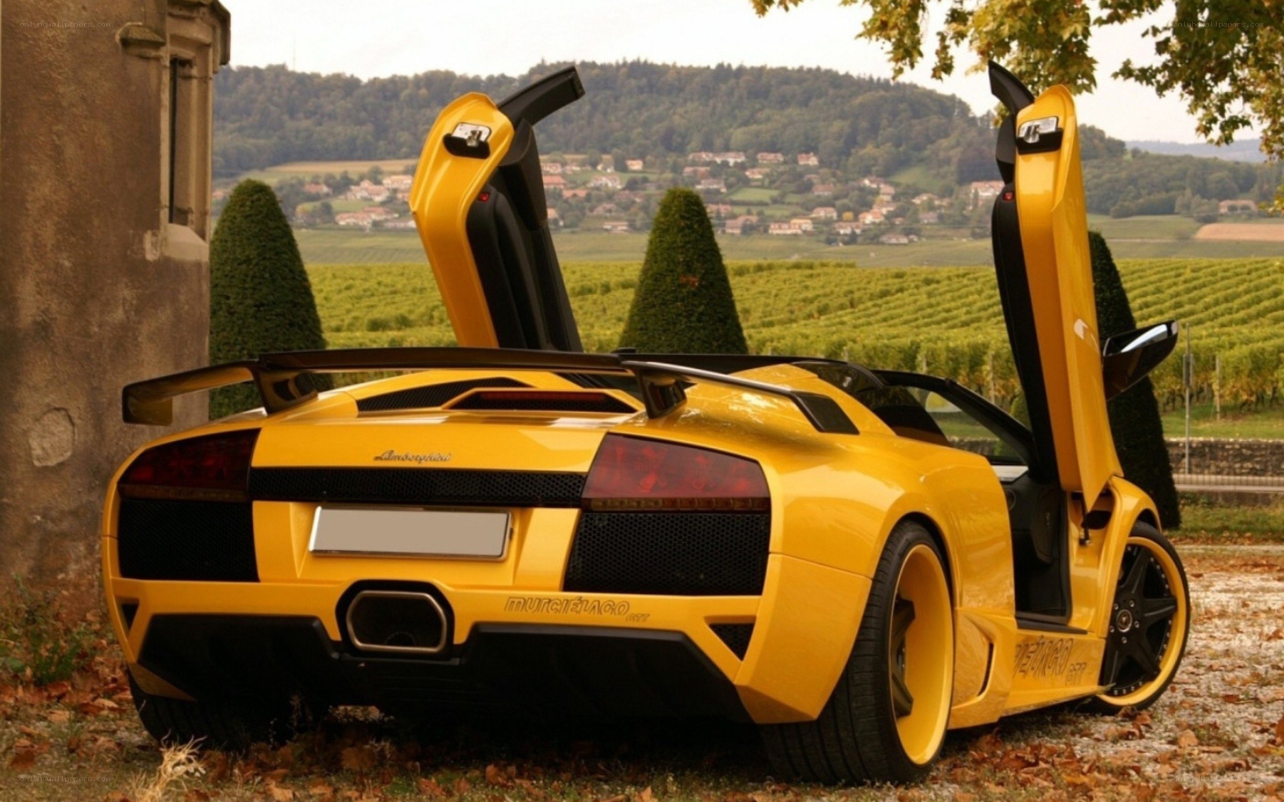 Yellow Lamborghini in vineyard