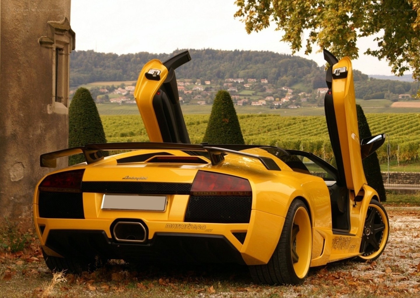 Yellow Lamborghini in vineyard