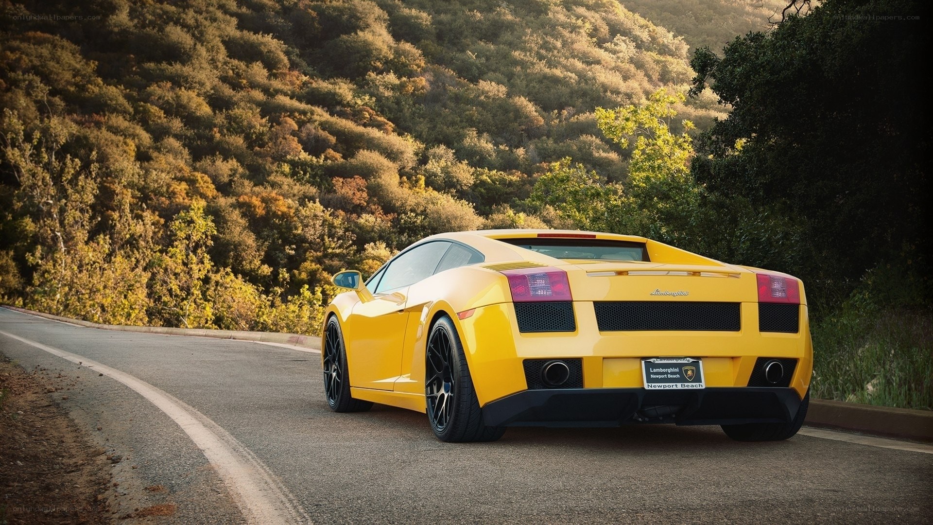 Yellow Lamborghini on a winding road