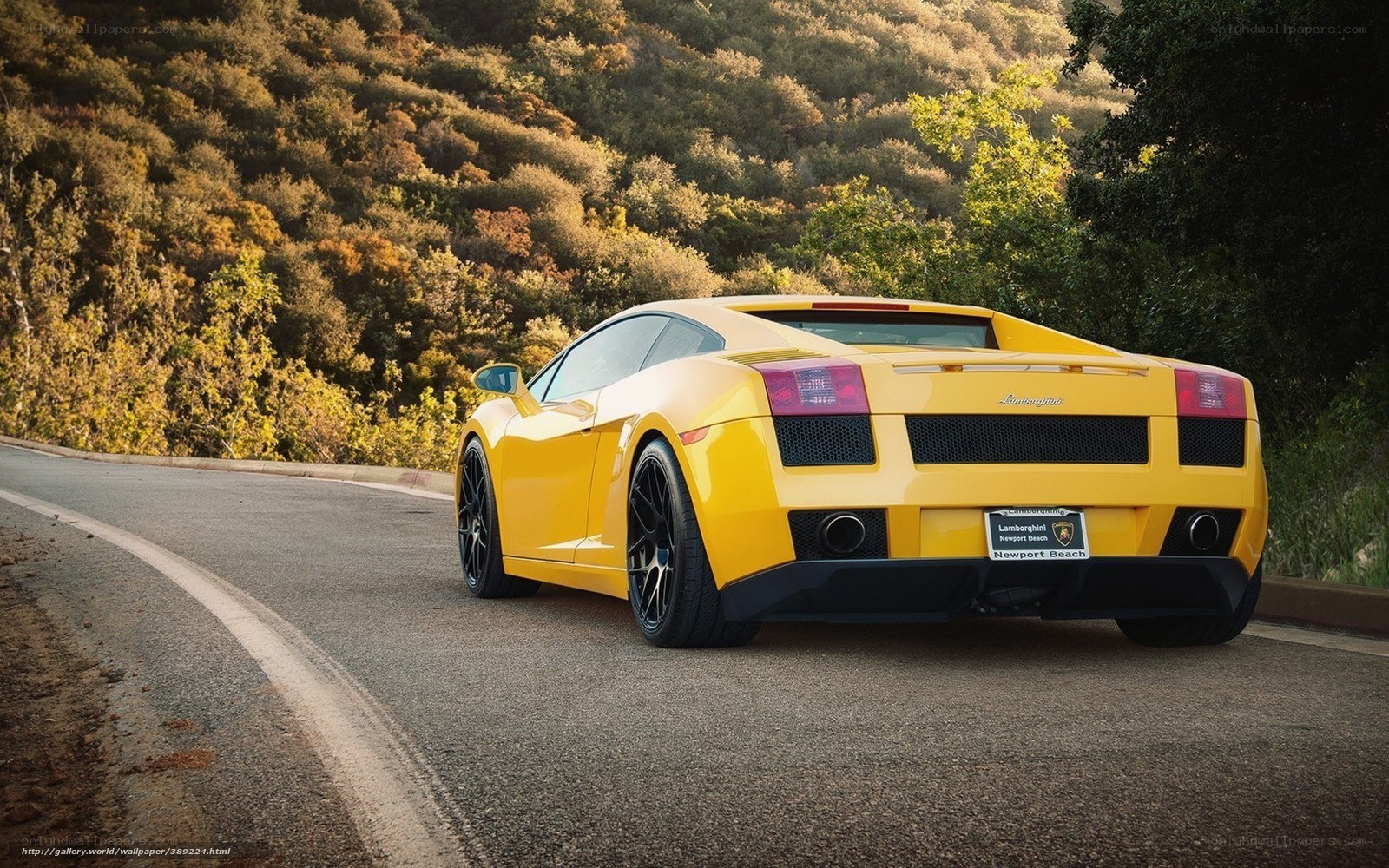 Yellow Lamborghini on winding road