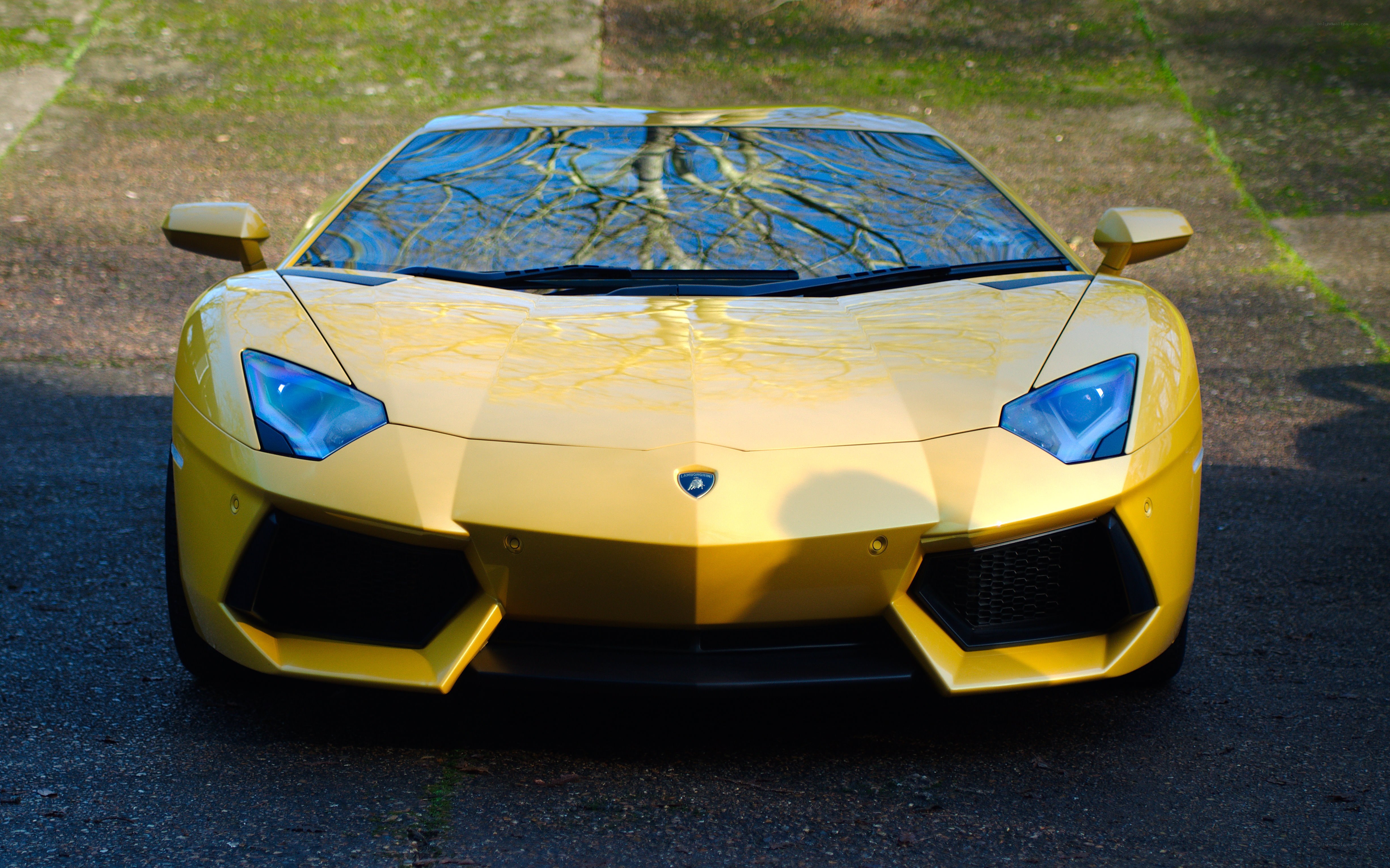 Yellow Lamborghini sports car