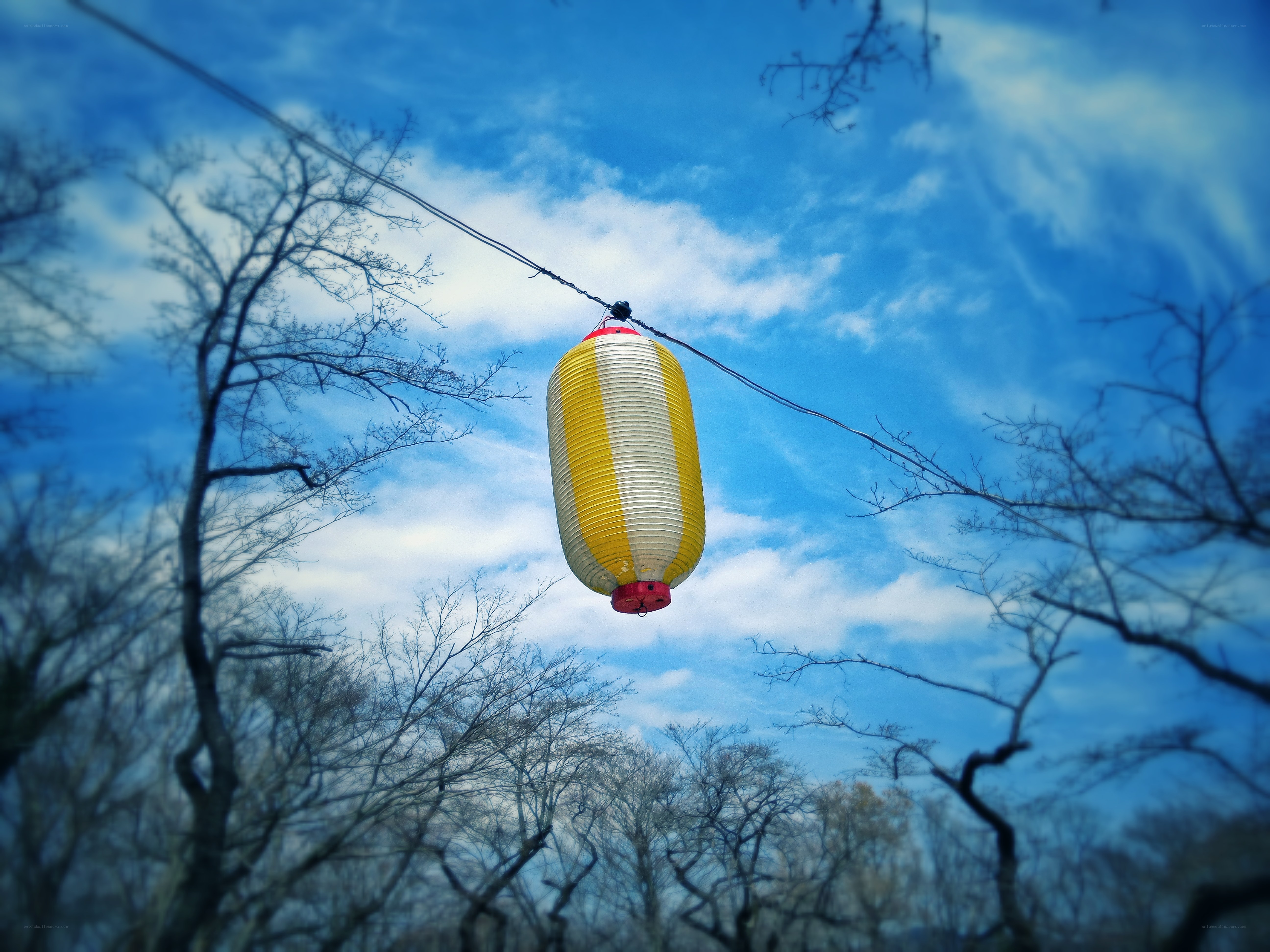 Yellow lantern hanging in sky
