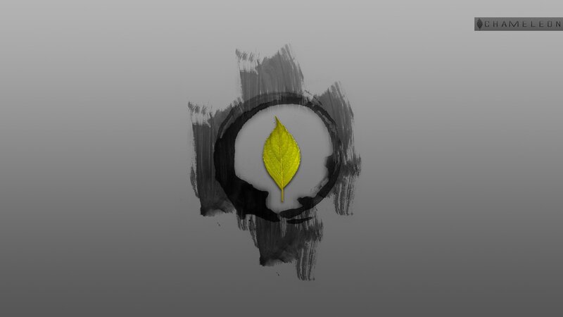 Yellow Leaf in Circle