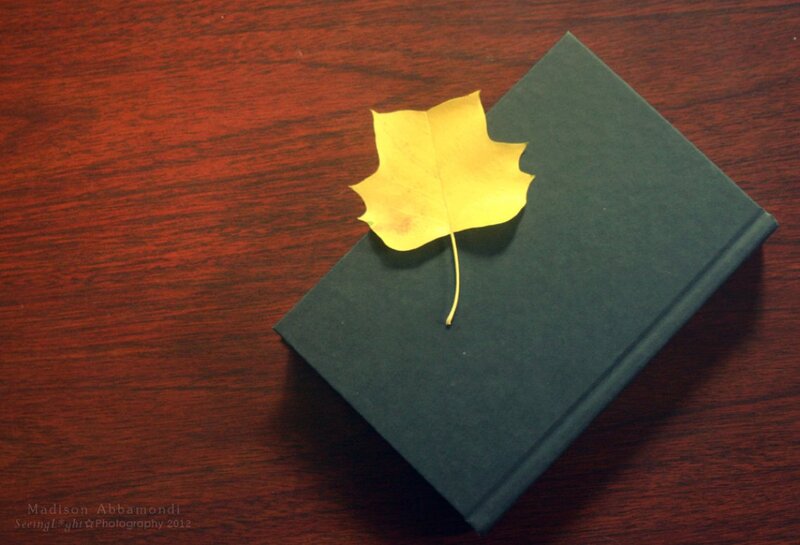 Yellow Leaf on Book