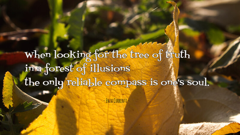 Yellow Leaf on Ground — Contemplative