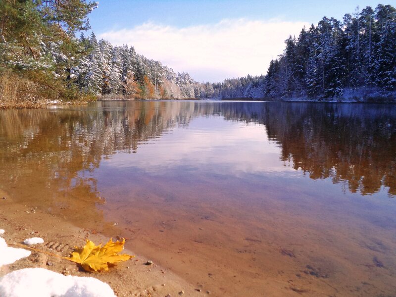 Yellow Leaf on Lake Shore