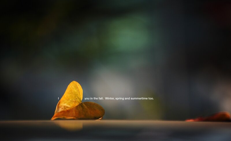 Yellow Leaf on Surface