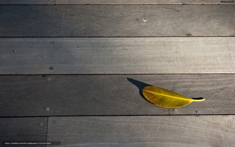 Yellow leaf on wooden deck