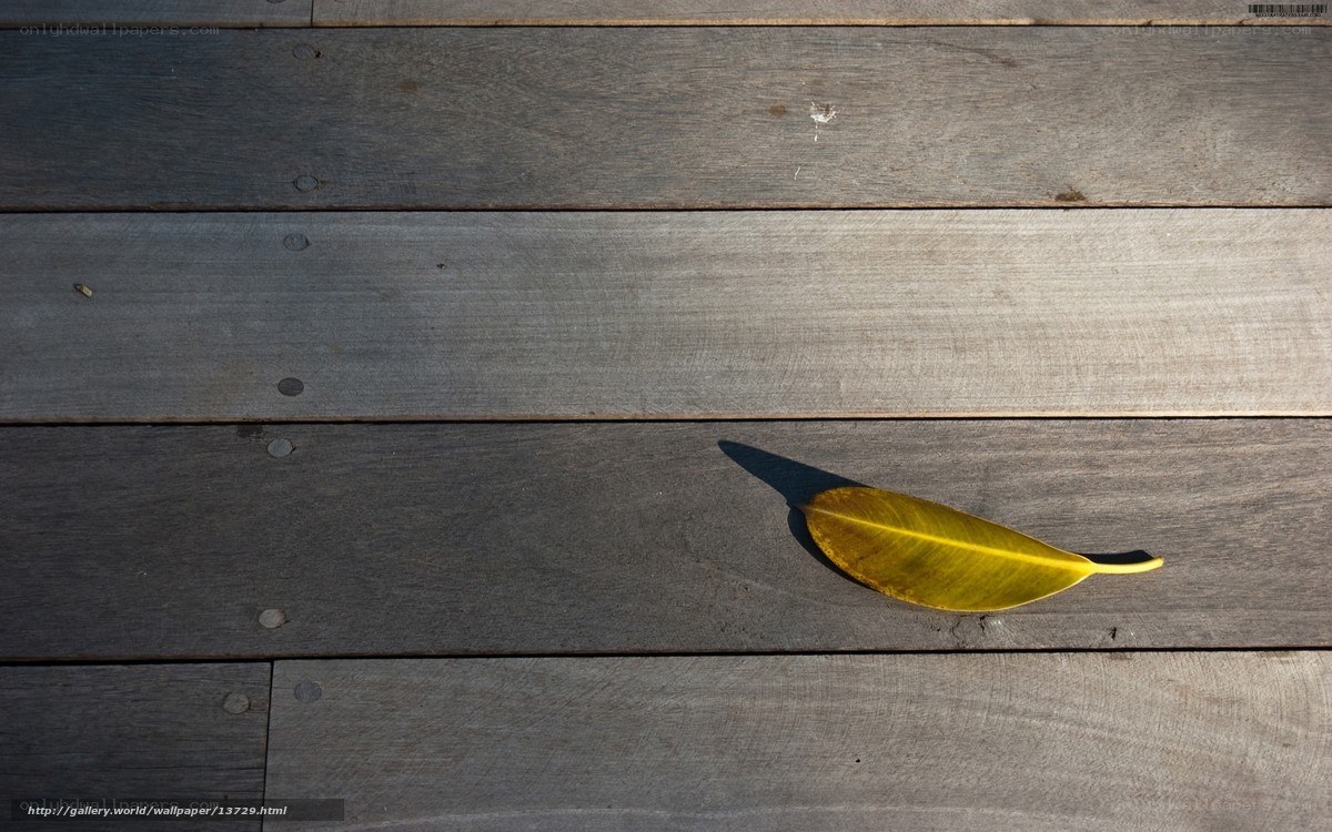 Yellow leaf on wooden deck