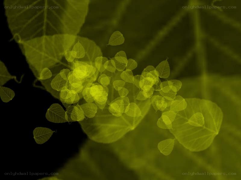 Yellow leaf overlay effect