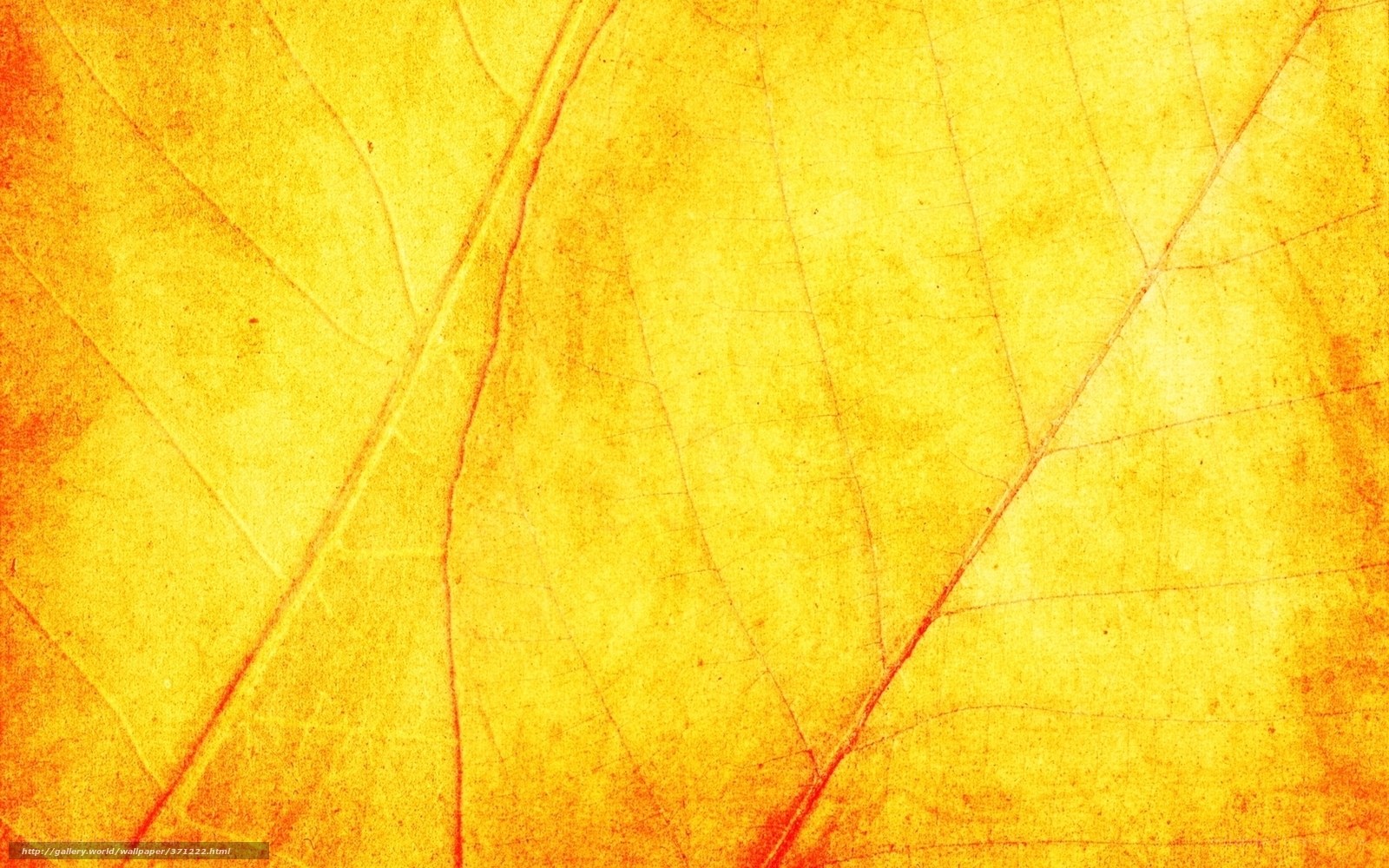 yellow leaf texture background