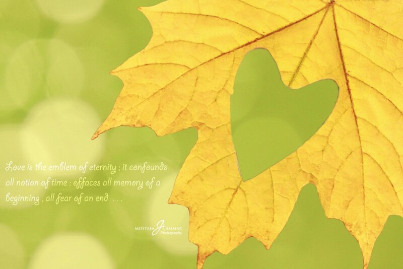 Yellow Leaf with Heart Cutout