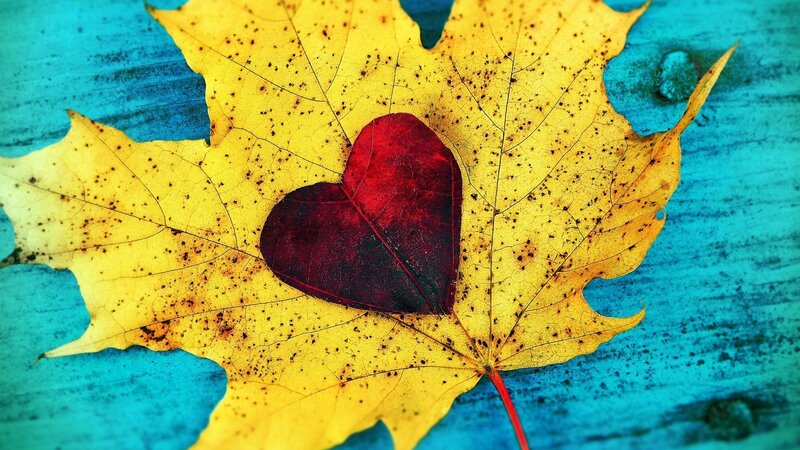 Yellow Leaf with Heart